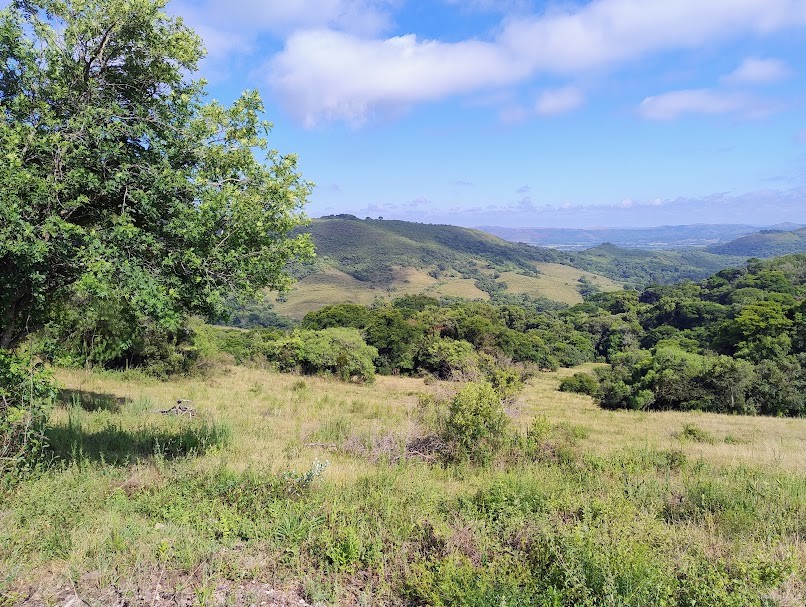 12,20 Hectares em Caçapava do Sul