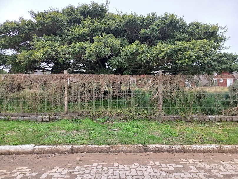 Terreno no Balneário
