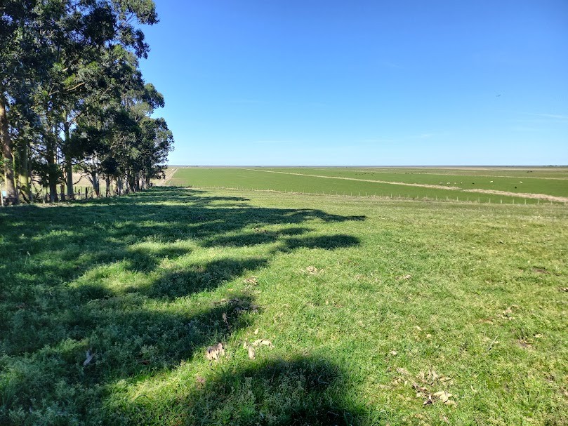 35 Hectares com Benfeitorias no Passo dos Baios