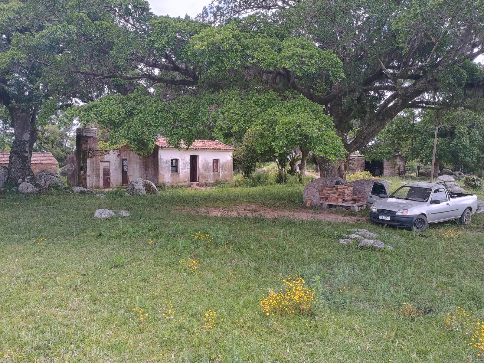 16,13 Hectares em Santa Isabel