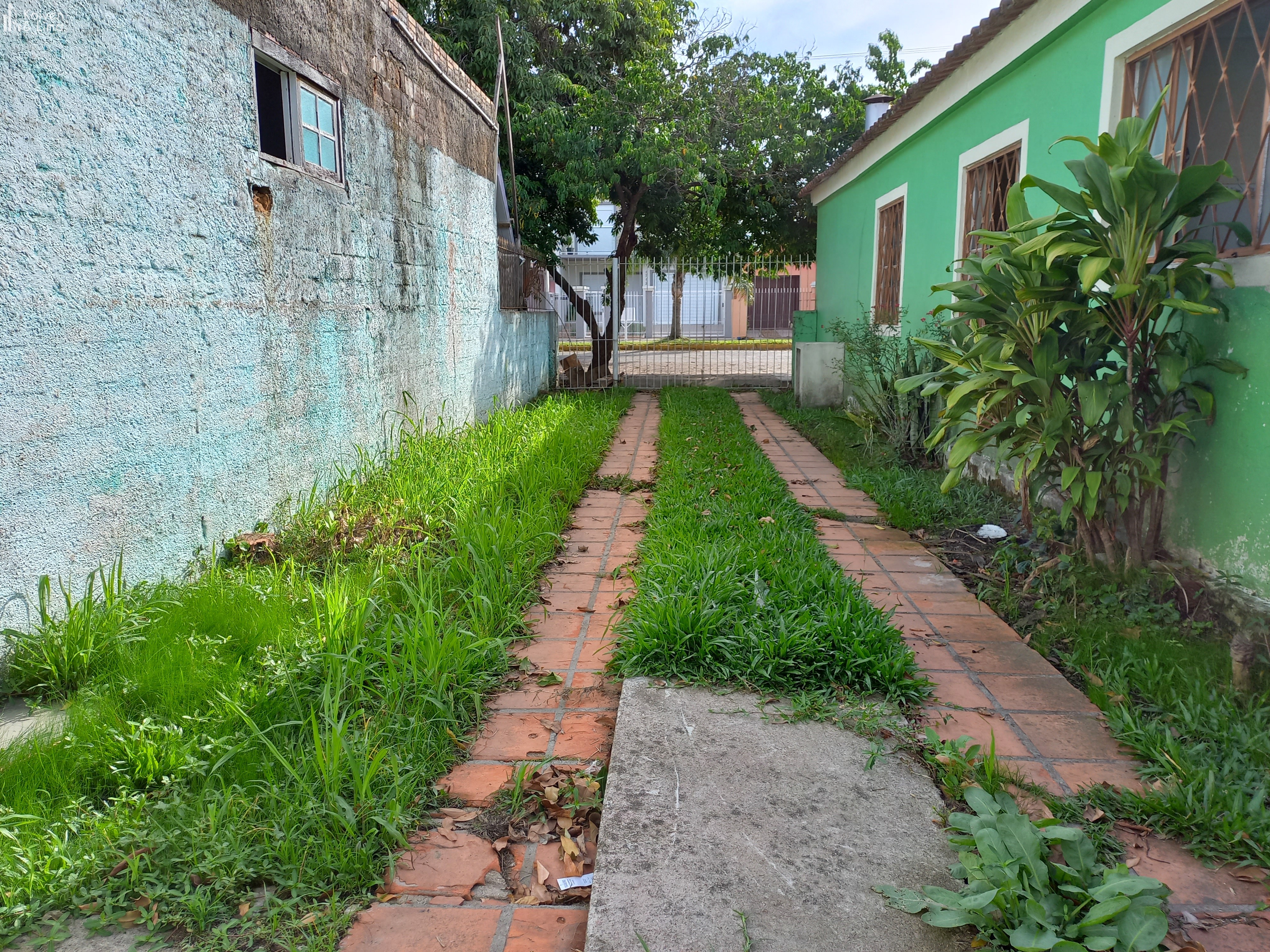 Imagem 1