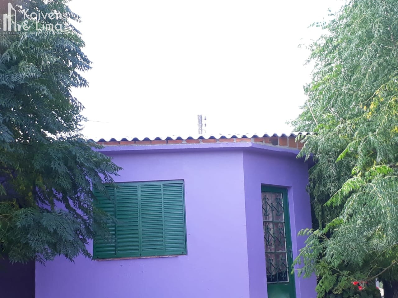 Imagem 1